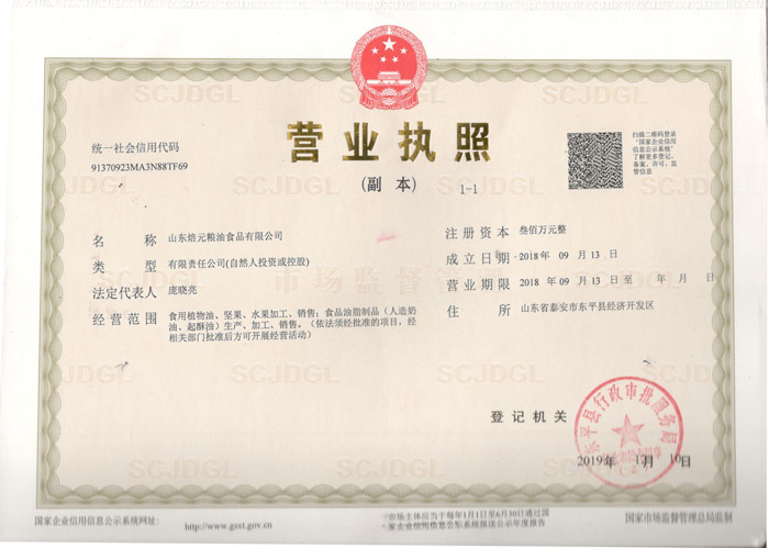 公司营业执照