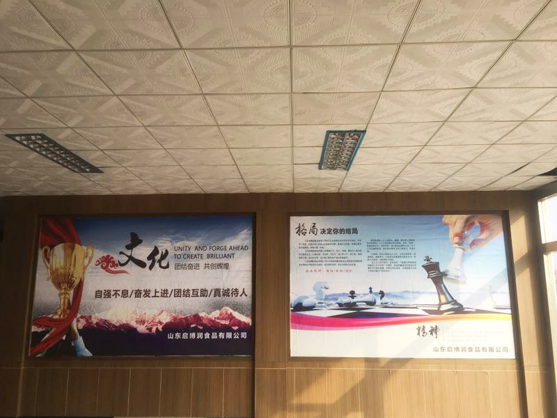 企业风采