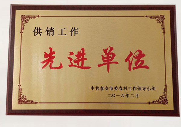 荣誉资质